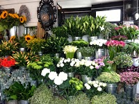 AC Blooms Florist Ltd 1068583 Image 1